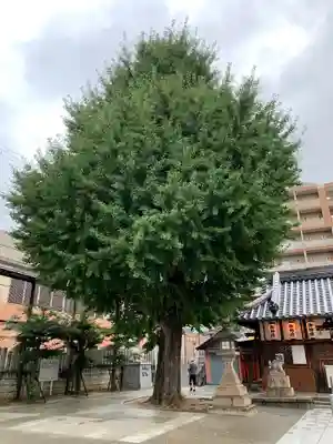 住吉神社(大阪府)