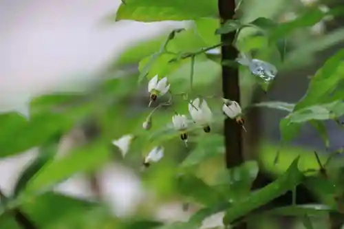 阿邪訶根神社の庭園