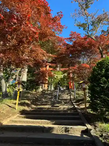 新倉富士浅間神社(山梨県)