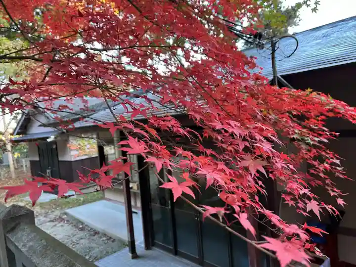 湯泉神社(兵庫県)