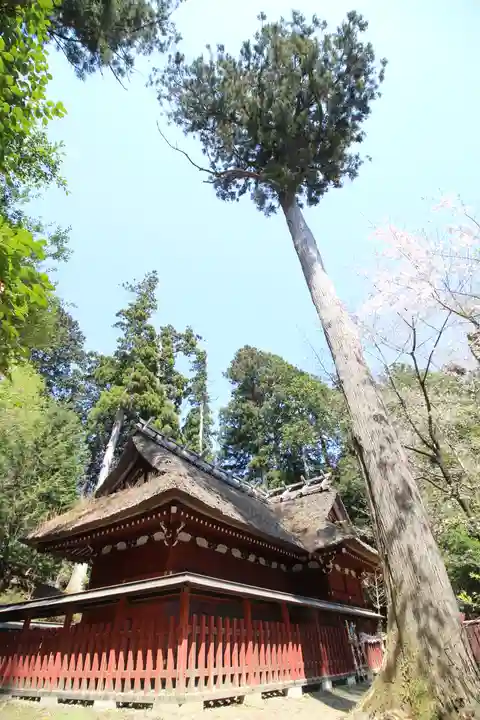 八王寺(埼玉県)