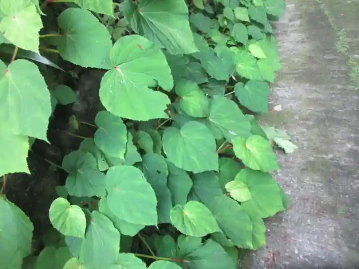 水潜寺(埼玉県)
