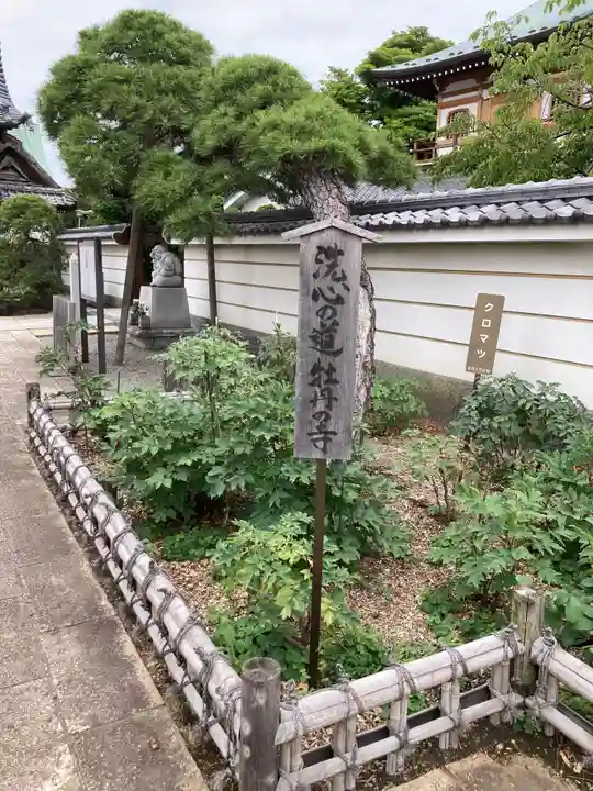 龍華寺(神奈川県)