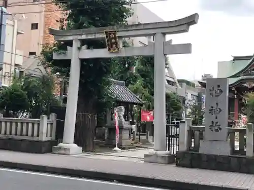 柏神社の鳥居