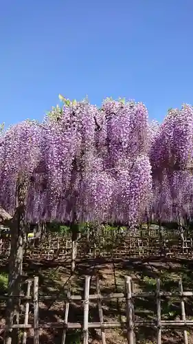 玉敷神社の庭園