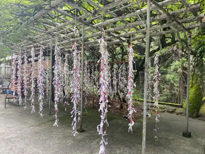 神場山神社の自然