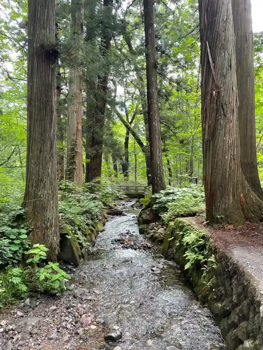戸隠神社奥社の周辺
