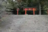 霧島神宮(鹿児島県)