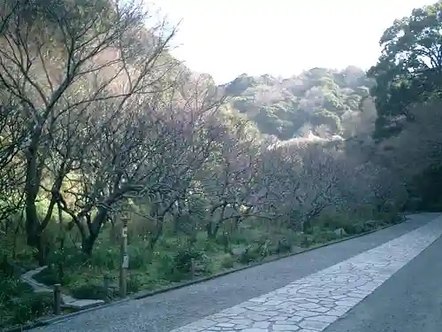 瑞泉寺の庭園