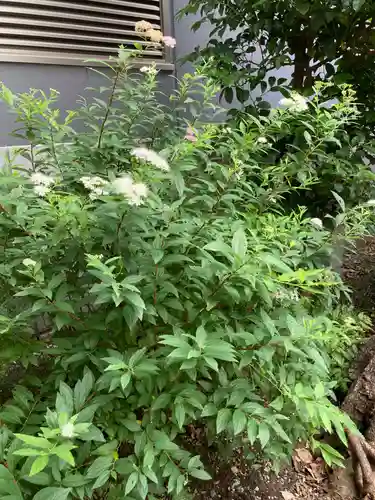 須賀神社(東京都)