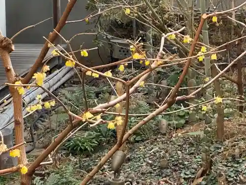 遠照山 光明寺（尼崎大仏）(兵庫県)