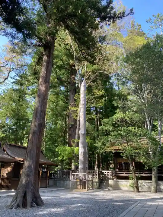 諏訪大社下社秋宮(長野県)