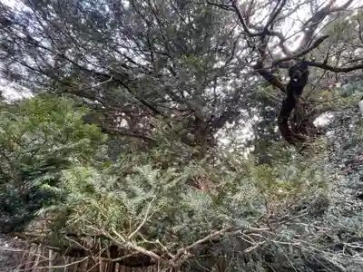 熊野神社(滋賀県)