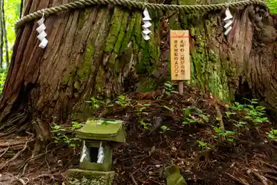 戸隠神社火之御子社(長野県)