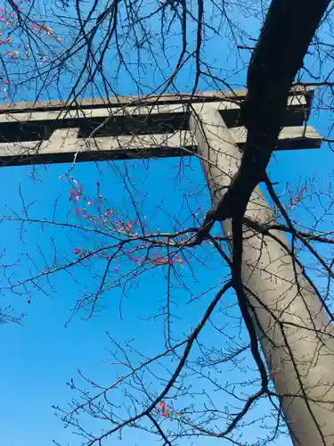 大斎原（熊野本宮大社旧社地）の鳥居