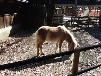 平塚八幡宮(神奈川県)