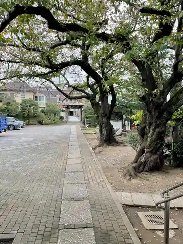 常行寺（常行三昧寺）(東京都)