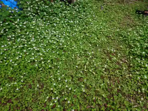 弓削神社の自然