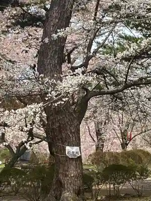 糠部神社の自然