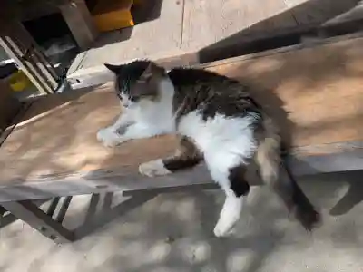 梅宮大社(京都府)