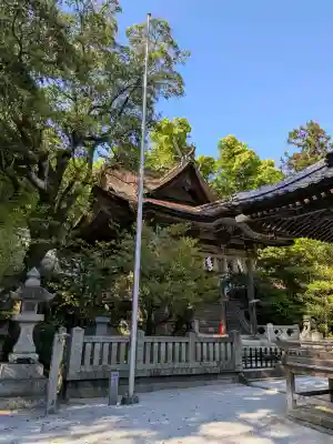 大富神社の{uncategorized: "未分類", other: "その他", undefined: "問題あり", building: "その他建物", grave: "お墓", sacred_gate: "鳥居", guardian: "狛犬", statue: "像", buddha: "仏像", history: "歴史", nature: "自然", garden: "庭園", animal: "動物", pagoda: "塔", temizu: "手水舎", mountain_gate: "山門・神門", sanctuary: "本殿・本堂", subordinate: "末社・摂社", art: "芸術", scenery: "景色", jizo: "地蔵", ema: "絵馬", goshuin: "御朱印", omikuji: "おみくじ", items: "授与品その他", amulet: "お守り", goshuincho: "御朱印帳", eats: "食事", festival: "お祭り", votive_dance: "神楽", shichigosan: "七五三参", wedding: "結婚式", experience: "体験その他", initially: "初詣", around: "周辺", anti_infection: "感染症対策"}