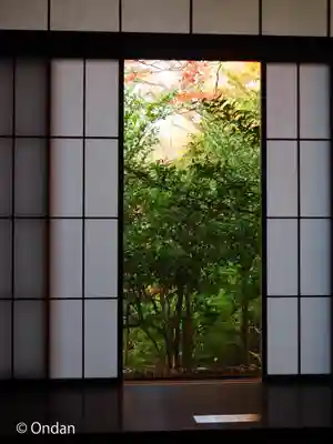 光明寺瑠璃光院(京都府)