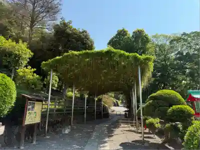 足利織姫神社(栃木県)