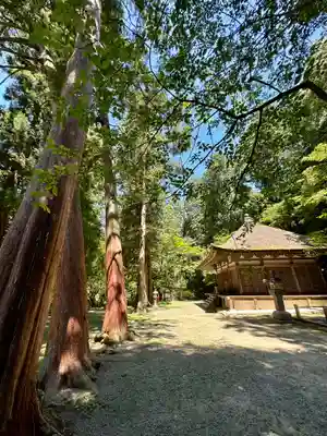 観心寺(大阪府)