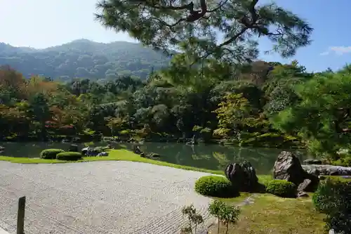 天龍寺の庭園