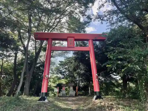 尾張猿田彦神社の鳥居