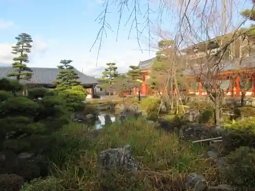 蓮華王院（三十三間堂）の庭園