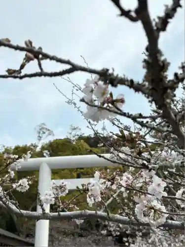 安房神社(千葉県)
