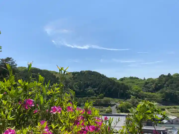 朝日寺(岡山県)