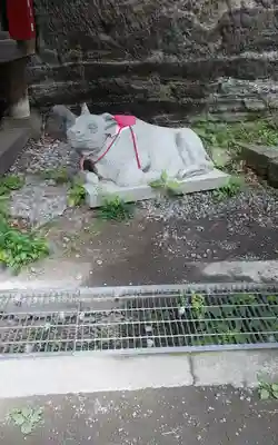 釋尊寺の狛犬