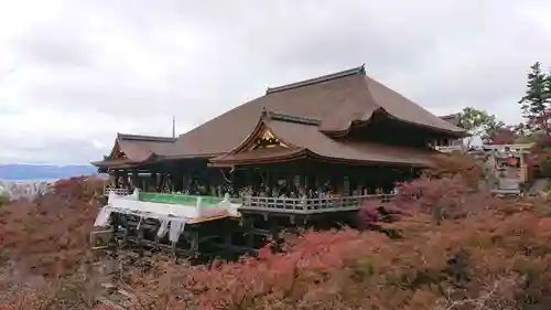 清水寺の本殿・本堂