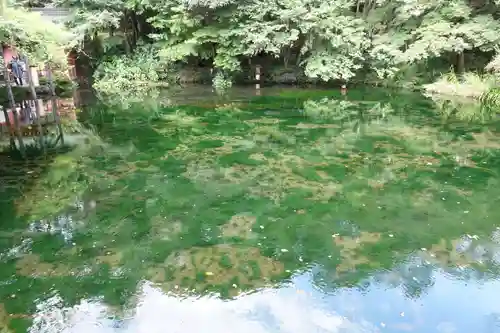 富士山本宮浅間大社の庭園