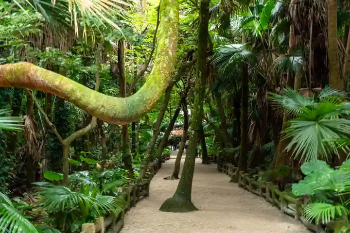 青島神社(青島神宮)(宮崎県)