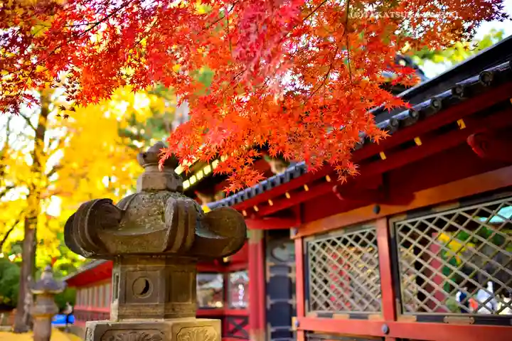 根津神社(東京都)