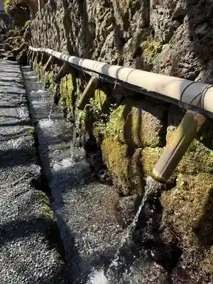 富士山本宮浅間大社(静岡県)