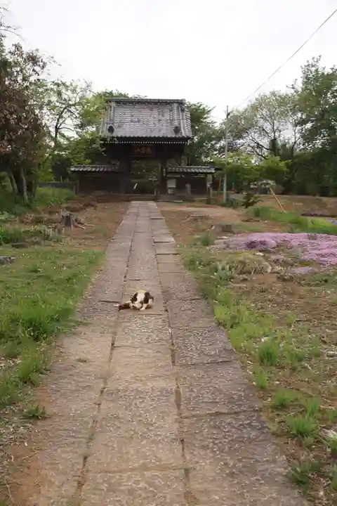 宗悟寺(埼玉県)