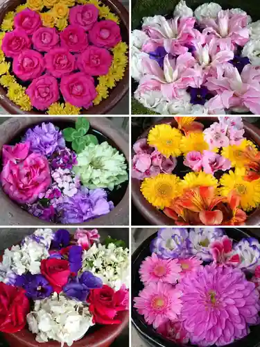 菅生神社の手水舎