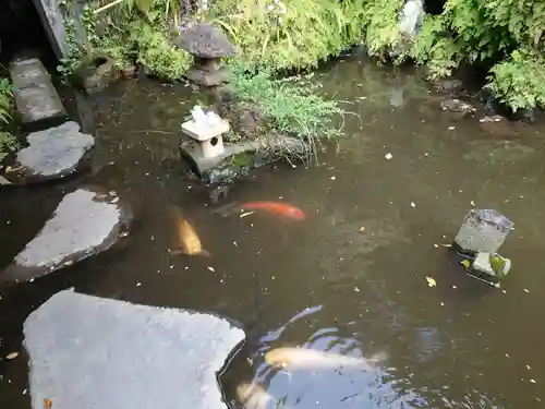 大綱金刀比羅神社の庭園