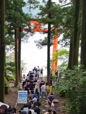 箱根神社(神奈川県)