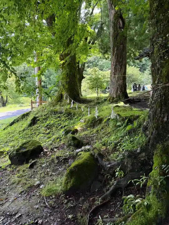 諏訪大社上社前宮(長野県)