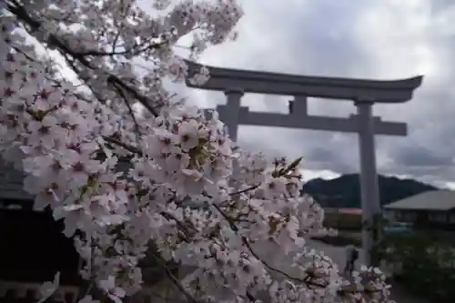 気多若宮神社の鳥居