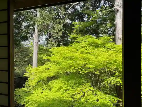 𠮷水神社（吉水神社）(奈良県)