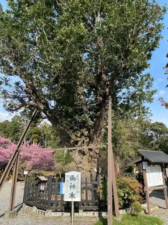 天宮神社(静岡県)