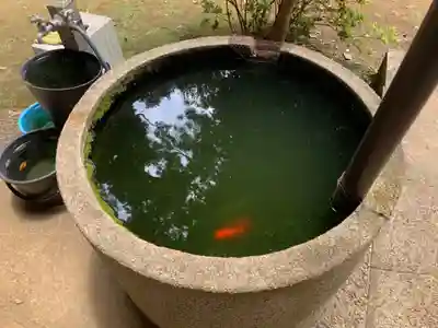 面足神社(千葉県)