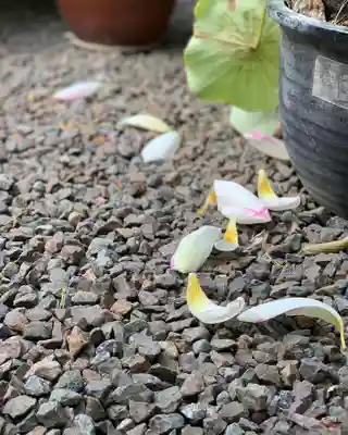 上行寺(静岡県)