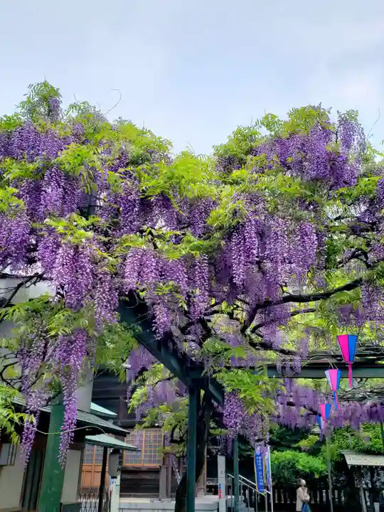 國領神社(東京都)